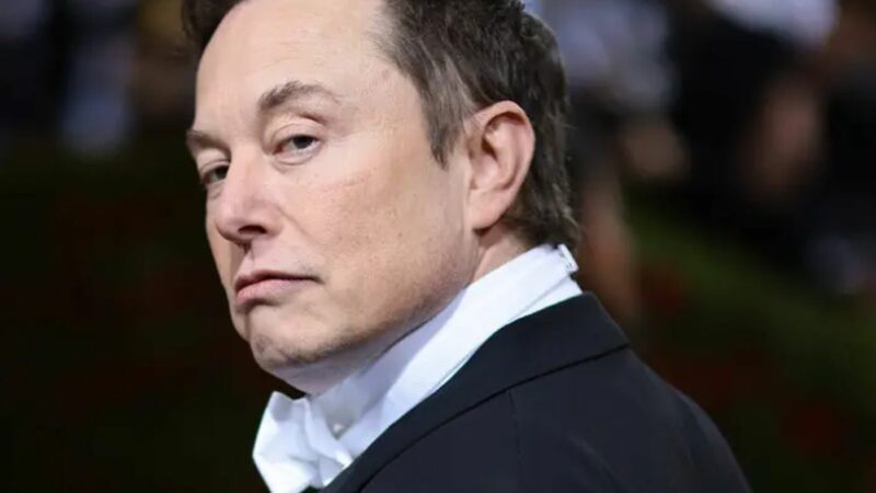 Elon Musk a rămas fără cuvinte. Care e legătura dintre milionar și o capră – Imagine șoc
