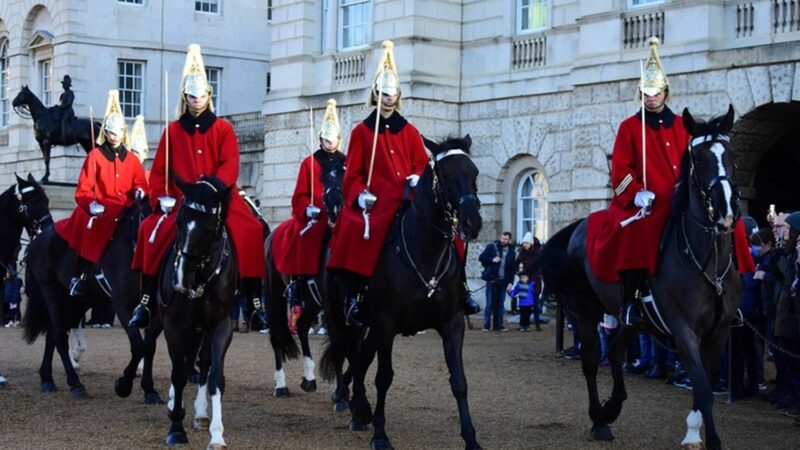 Incident terifiant la Palatul Buckingham. Un copil a fost mușcat de calul Gărzii Regale – Video