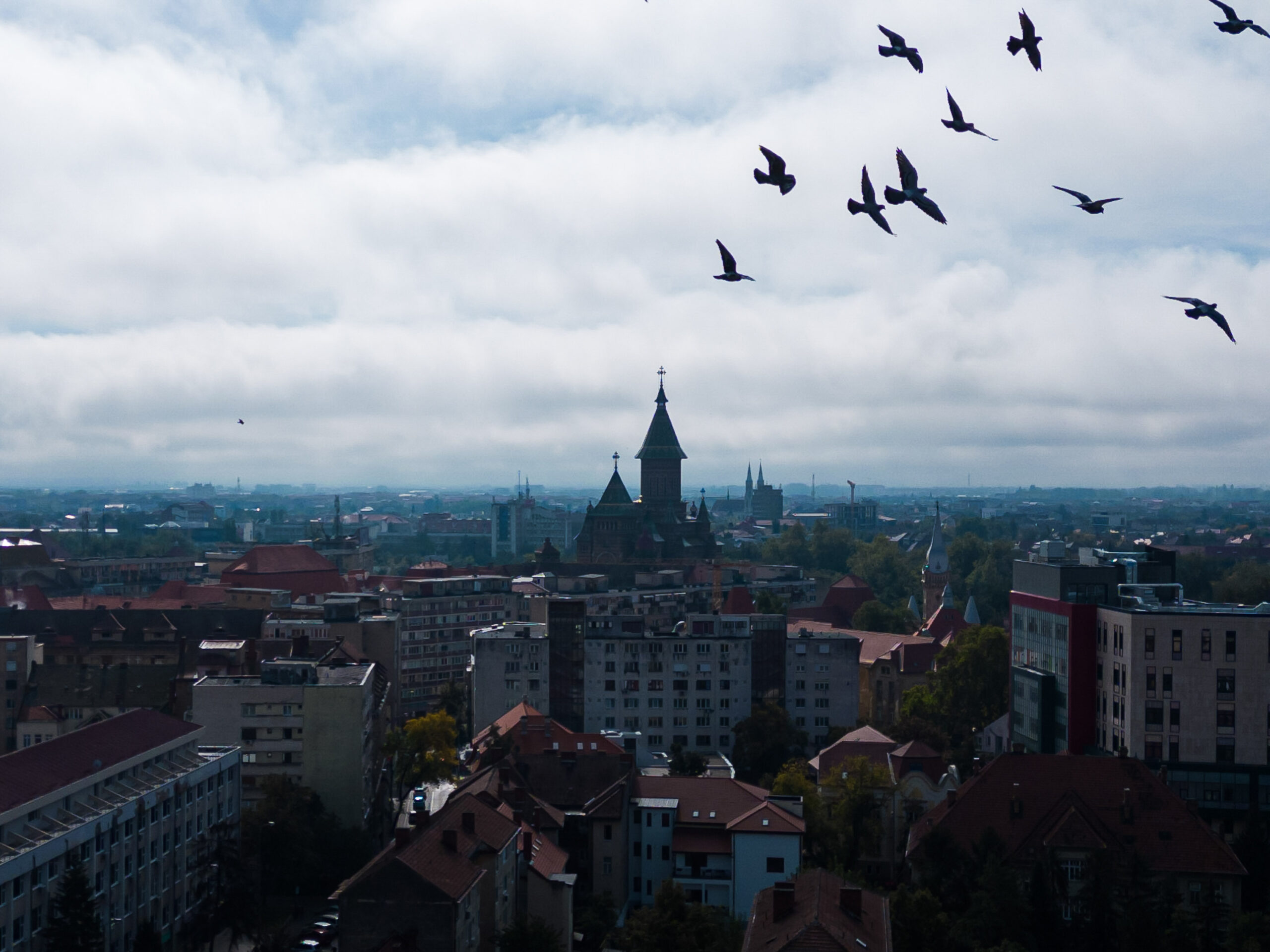 Deschiderea programului Timișoara 2023 – Capitală Europeană a Culturii în război cu HORECA. Primăria a decis închiderea teraselor pentru cele trei zile de sărbătoare