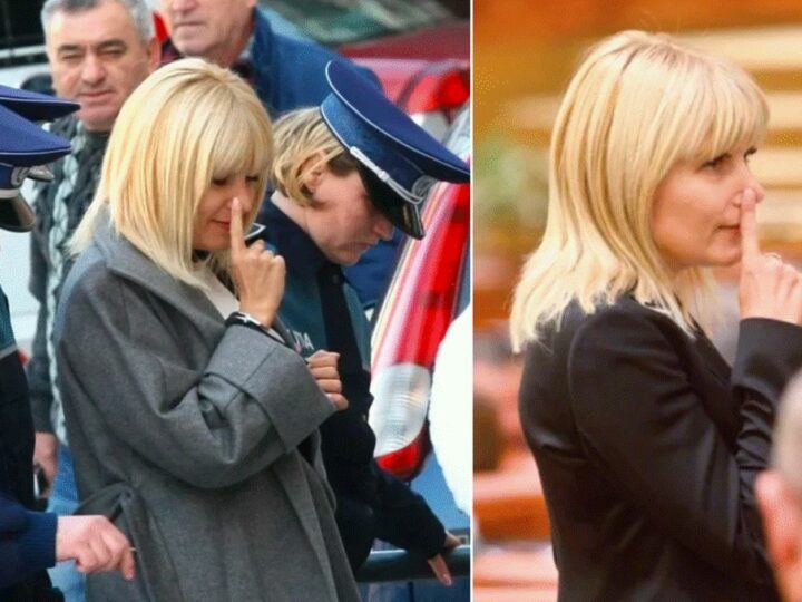 Elena Udrea a dezvăluit că a folosit limbajul secret al lui Celine Dion pentru a-i atenționa pe rivalii din politică