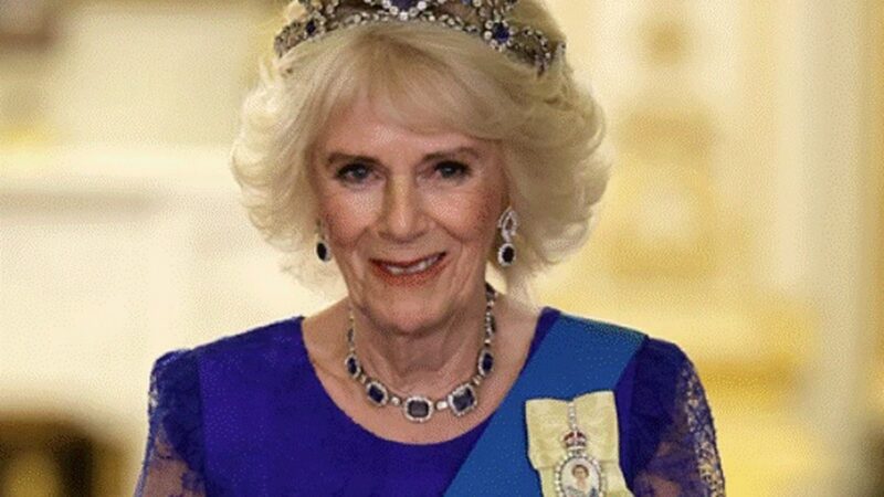 Regina Consoartă Camilla își arata adevărata față. S-a lăsat cu prima demisie la Palat