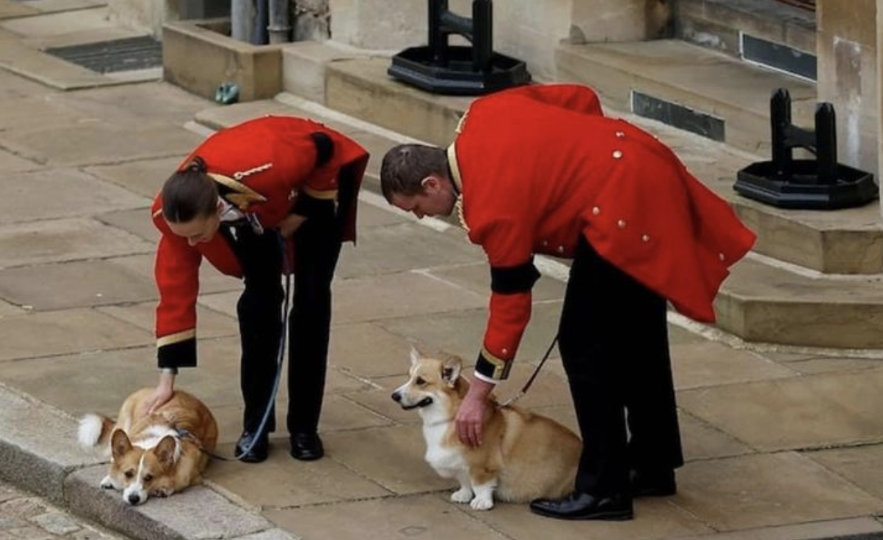 Ce fac câinii reginei Elisabeta a II-a. Noua lor stăpână susține că ei comunică des cu răposata