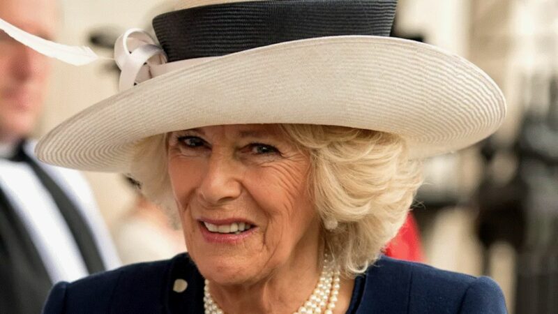 Fiul reginei consoarte Camilla face primele declarații privind încoronarea. Care e acum starea mamei sale