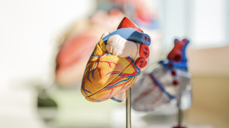 Cardiologii avertizează: șase alimente te îmbolnăvesc de inimă