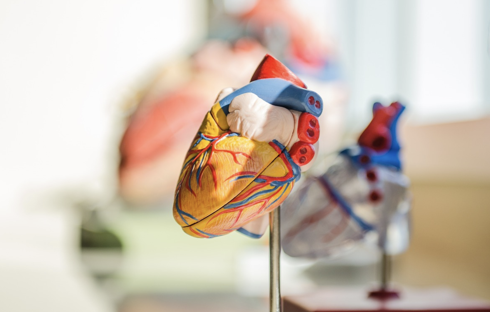 Cardiologii avertizează: șase alimente te îmbolnăvesc de inimă