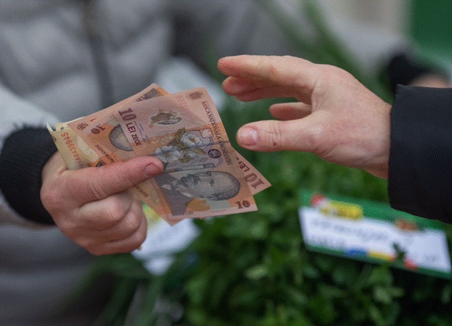 Guvernul a făcut planuri de unde să taie din banii românilor. S-a golit visteria