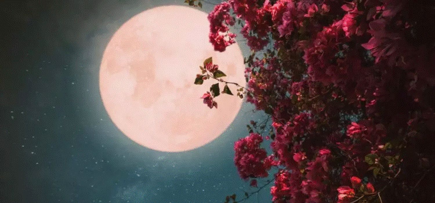 Pregătiți-vă pentru Luna Roz! Cum vor fi influențate toate zodiile