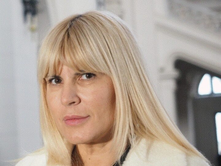 Înalta Curte a dat verdictul: Elena Udrea și Ioana Băsescu au scăpat de dosarul de mită, iar Dan Andronic a rămas tot cu achitare