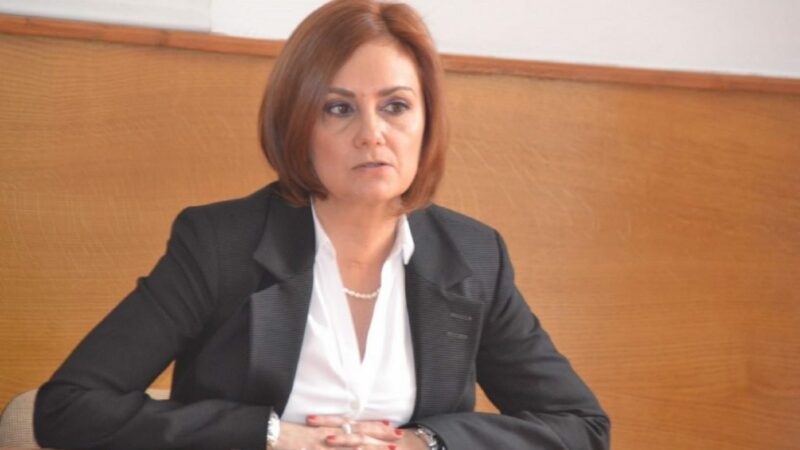 Judecătoarea Adriana Stoicescu: „Ajunge! Nu putem avea o Justiție corectă când un procuror execută ordine ale unui om politic”