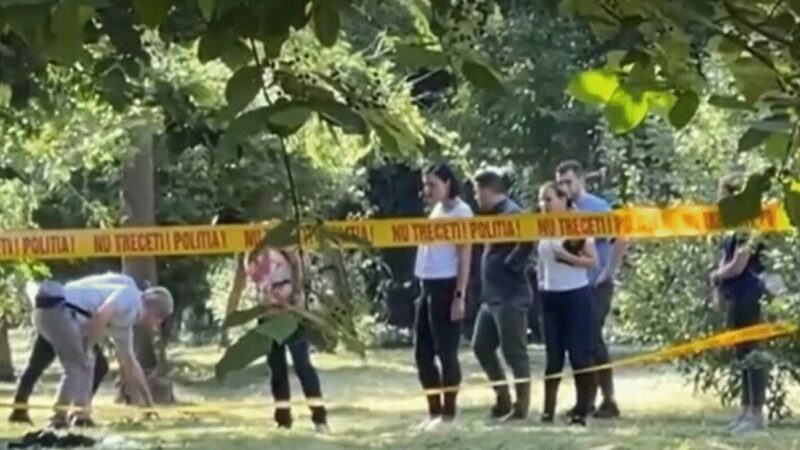 Fata omorâtă a apucat să apeleze 112. Băiatul înjunghiat la Craiova, prima mărturie despre atacul din Grădina Botanică, după ce a ieșit din comă