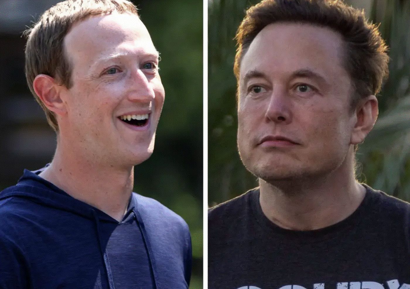 Crește miza în lupta secolului, dintre Elon Musk și Mark Zuckerberg. Se vor bate în cușcă pentru acest premiu