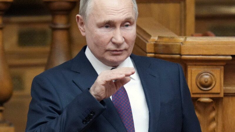 Vladimir Putin e disperat. A decis să transforme animalele în bombe cu ceas