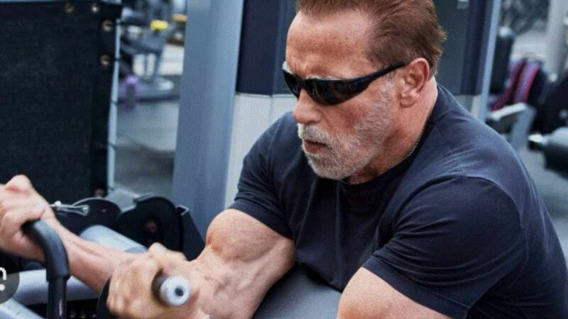 Arnold Schwarzenegger își hrănește nepoatele cu recompensele destinate animalelor sale
