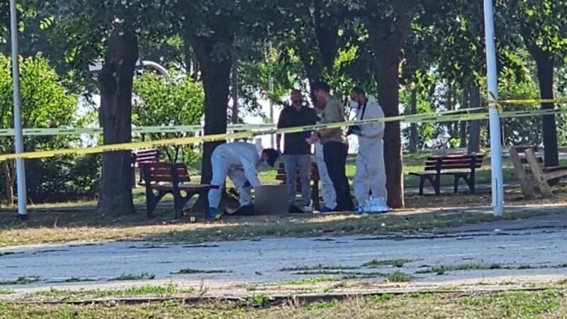 Crima din Mangalia. Ce spune taximetristul care a dus-o cu valiza în parc pe presupusa criminală