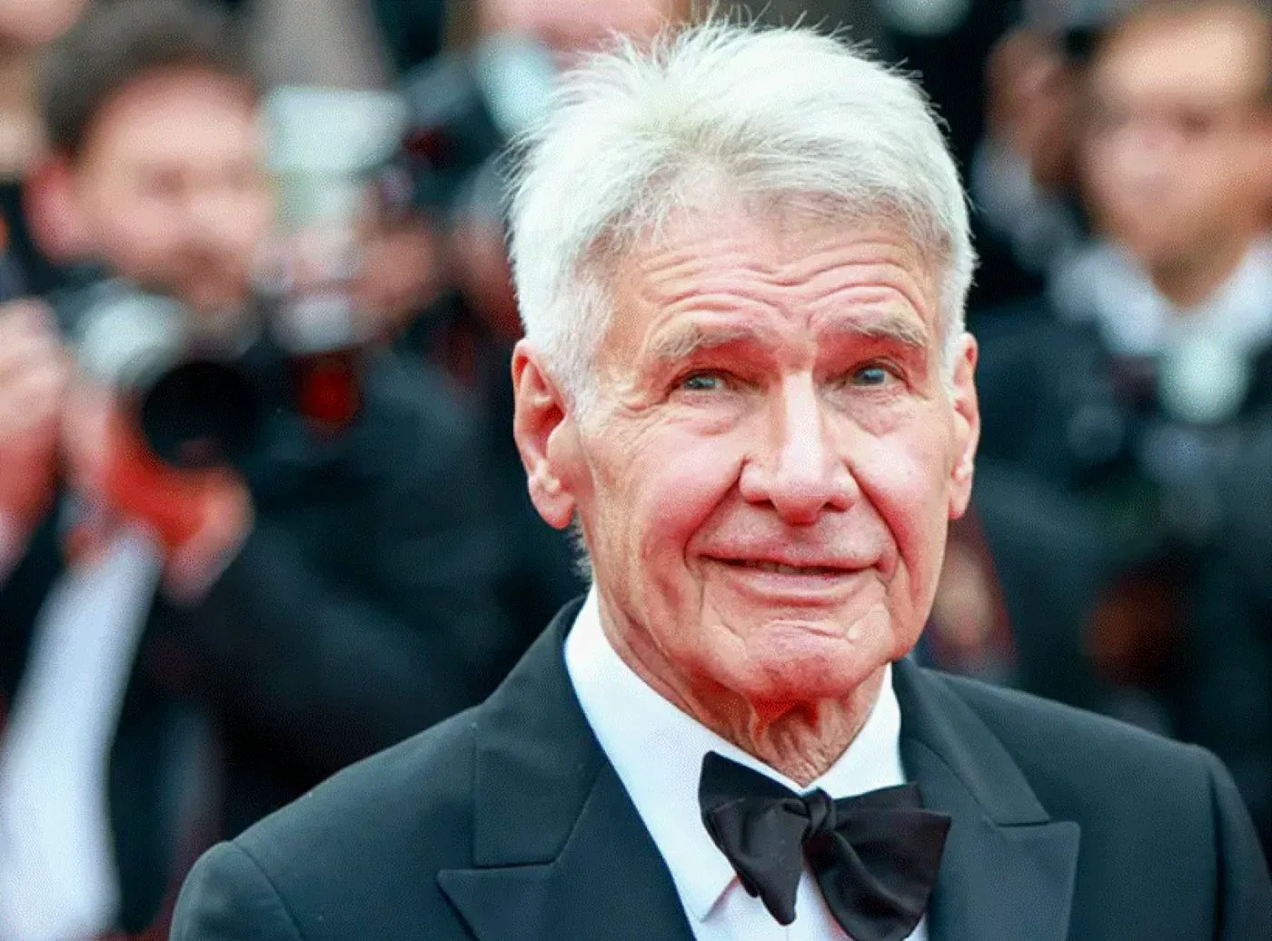 O specie nouă de șarpe poartă numele lui Harrison Ford. O furnică și un păianjen au fost botezați la fel