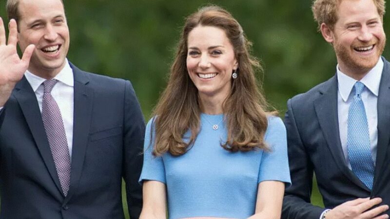 Kate Middleton îi dă prințului Harry „telefoane până târziu în noapte”. Soția lui William are un plan