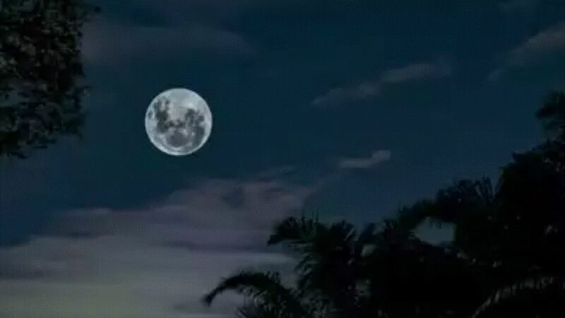 Eveniment astronomic. 29 septembrie 2023, ultima oară când Luna va mai arăta așa. I se mai spune „Luna recoltei”