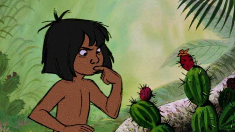 El a fost adevăratul Mowgli. Crescut de o haită de lupi, nu și-a dorit niciodată să fie luat din junglă. Povestea e tulburătoare
