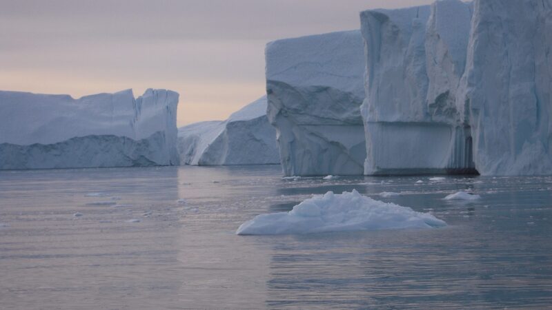 Cercetătorii, în stare de șoc. Au făcut descoperirea anului sub gheața de la Polul Nord