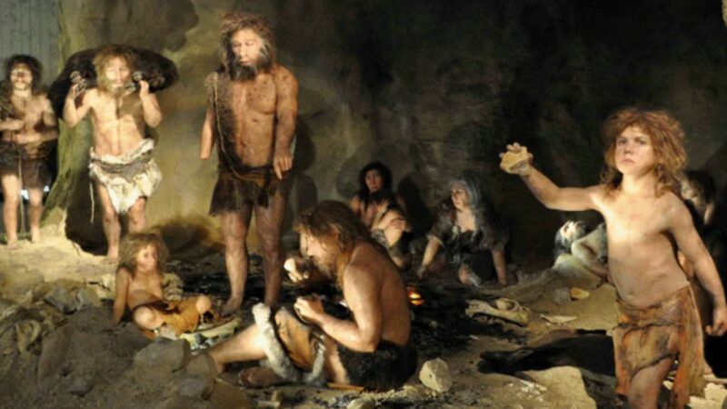 Cât de frumoase erau femeile Neanderthal – Prima față reconstruită e a unei doamne care a trăit acum 75.000 de ani