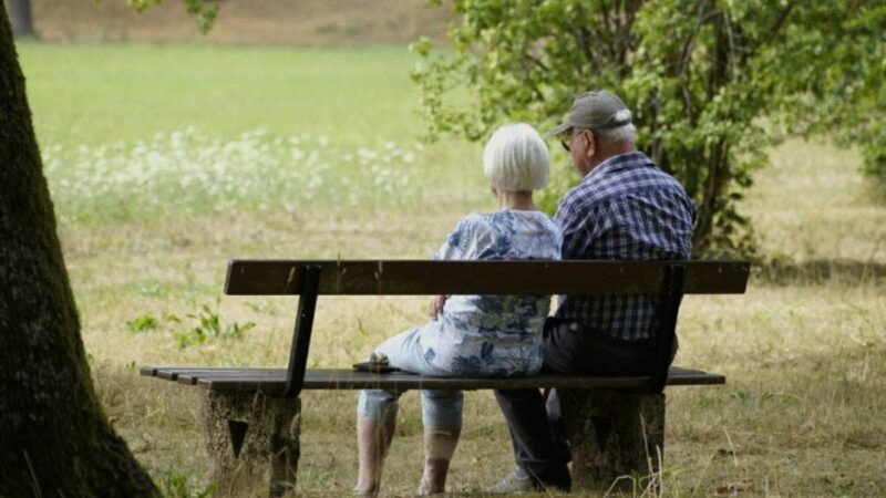 Pensiile cresc de două ori în 2024. Ce au hotărât la Guvern