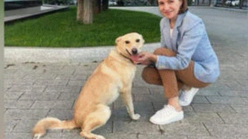 Video. Breşă de securitate, câinele Maiei Sandu l-a muşcat pe preşedintele Austriei. „Codruț e frate doar cu românul”