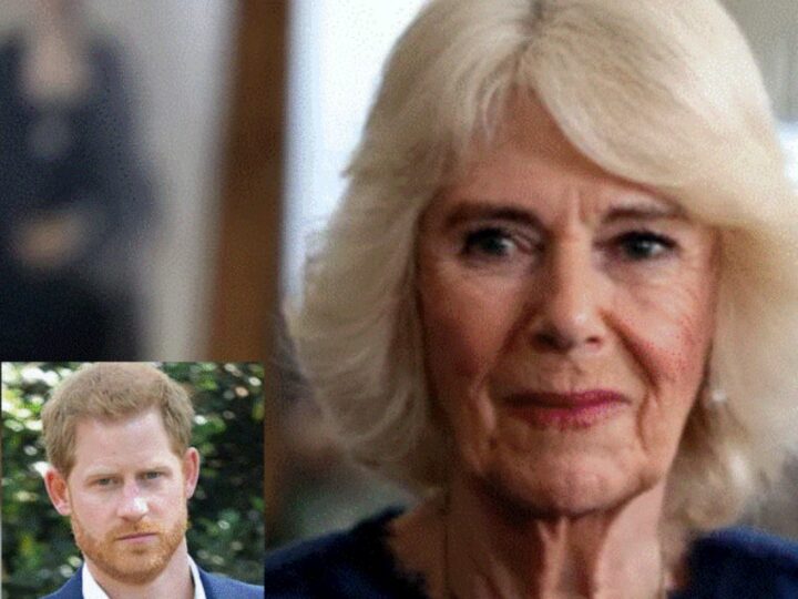 Au explodat ostilitățile dintre Camilla și prințul Harry. Regina iese la luptă