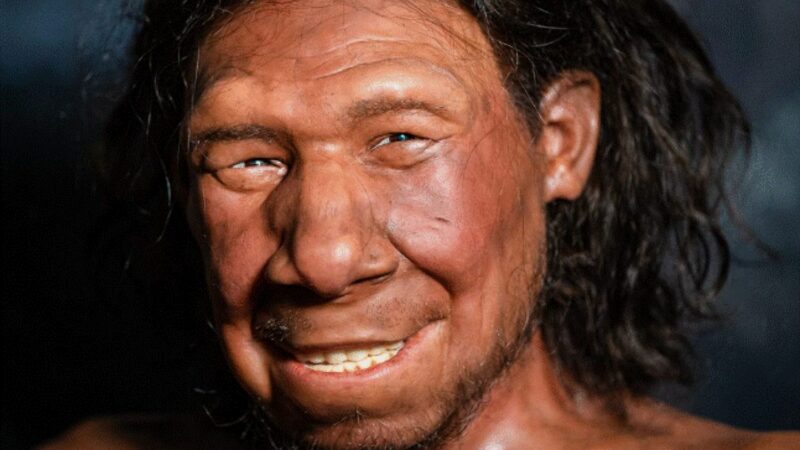 Oamenii din Neanderthal ar fi murit din cauza unor boli transmise de oamenii din Africa