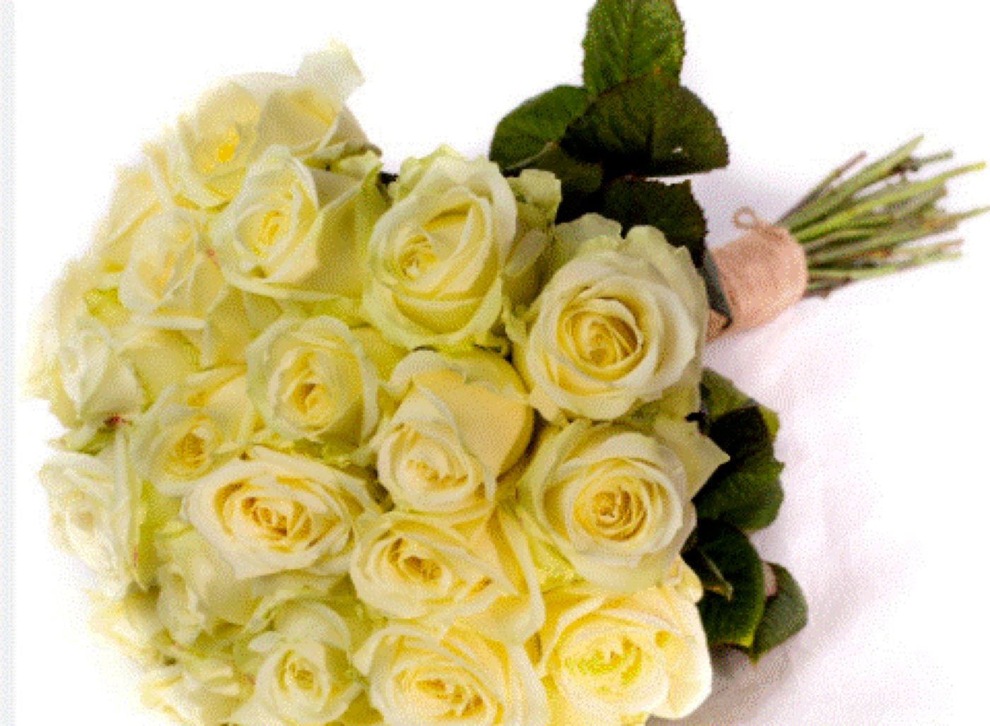 Nu dăruiți niciodată trandafiri albi de 1 martie. Iată de ce