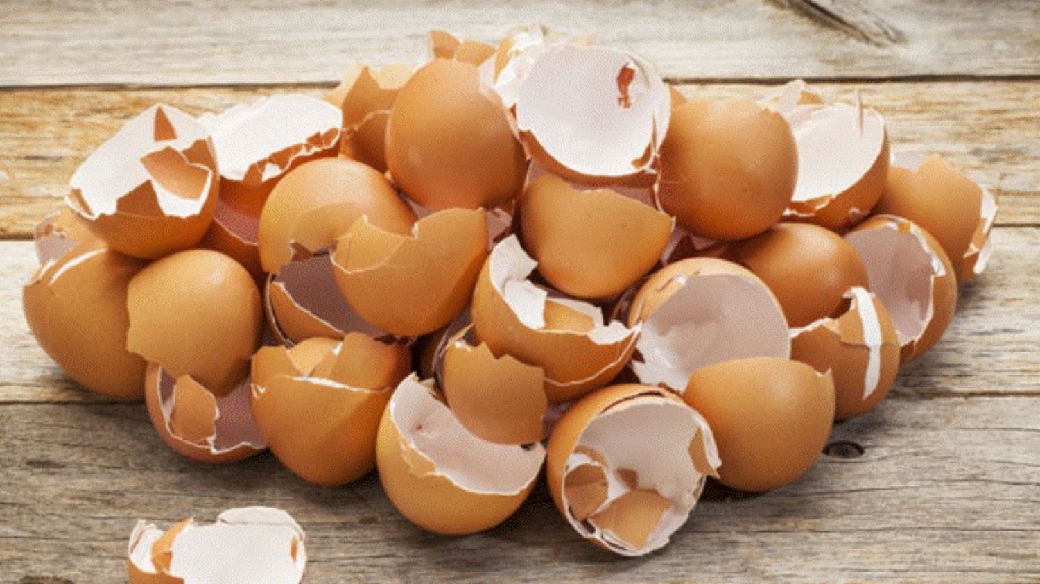 Apa din coji de ouă vă ajută să aveți oase puternice. Iată rețeta care face minuni