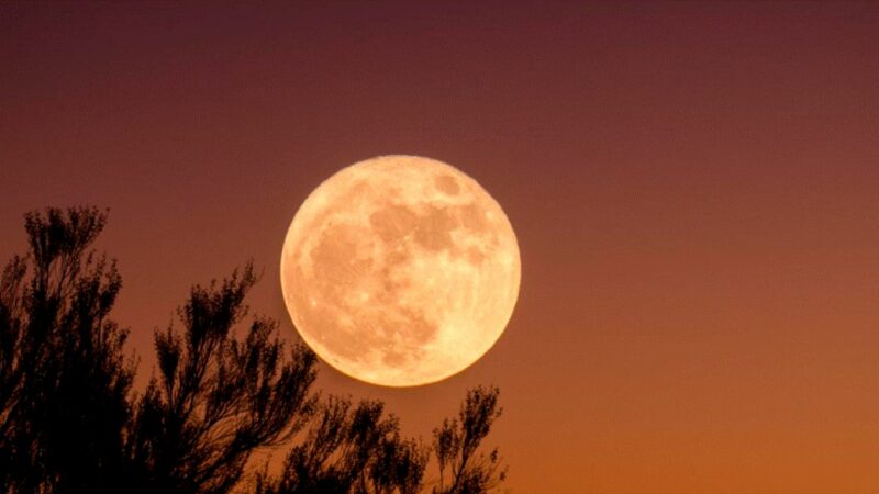 25 martie, eclipsă de lună. Astrologul Bianca Nuțu ne spune ce ne aduce Luna de vierme