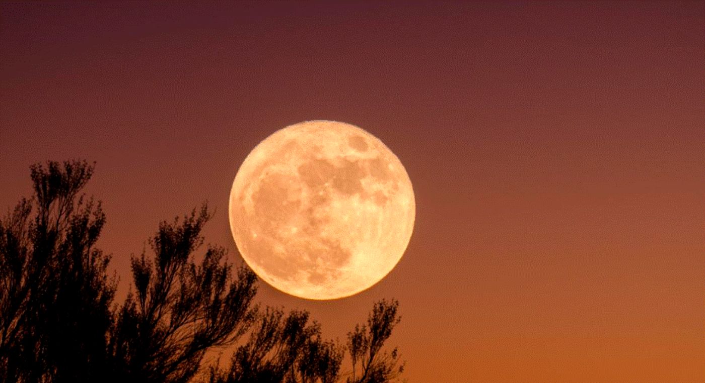 25 martie, eclipsă de lună. Astrologul Bianca Nuțu ne spune ce ne aduce Luna de vierme