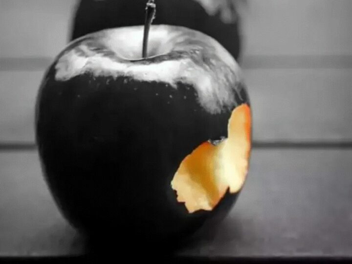 Mărul negru, cel mai scump din lume. Crește la 3000 de metri altitudine