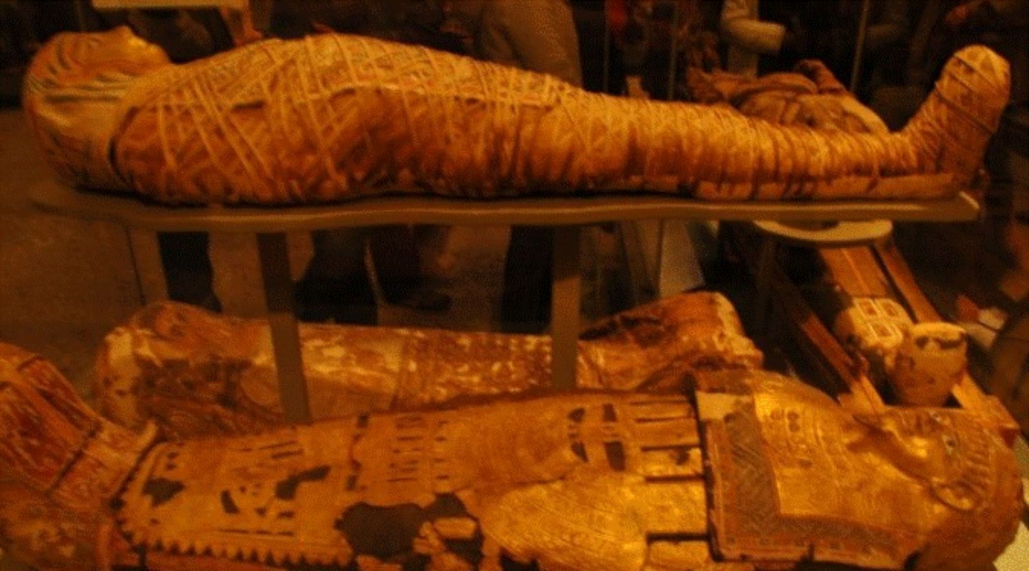 Povestea mumiilor egiptene cu limba de aur