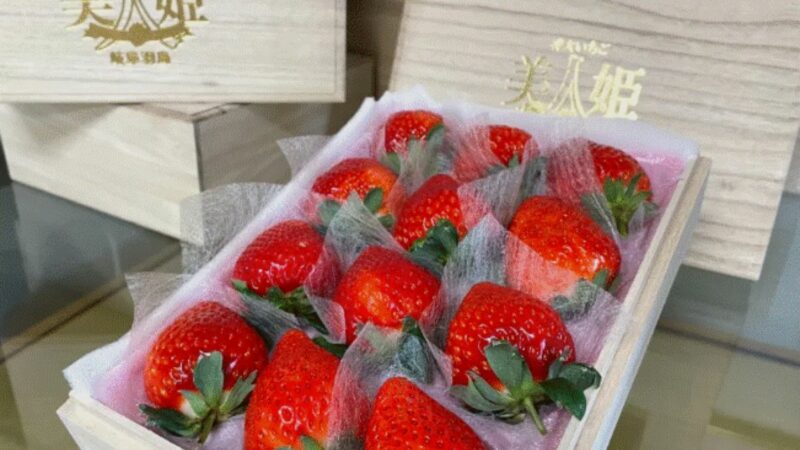 Căpșunile preferate de miliardari. Sunt din Japonia și sunt cultivate de un singur fermier în lume