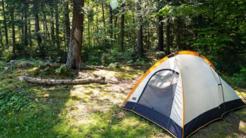 Campingul montan poate fi o provocare. Cele mai bune sfaturi dacă plecați vara cu cortul