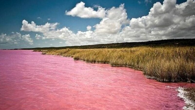 Povestea incredibilă a lacului roz din Australia. Ce au descoperit cercetătorii