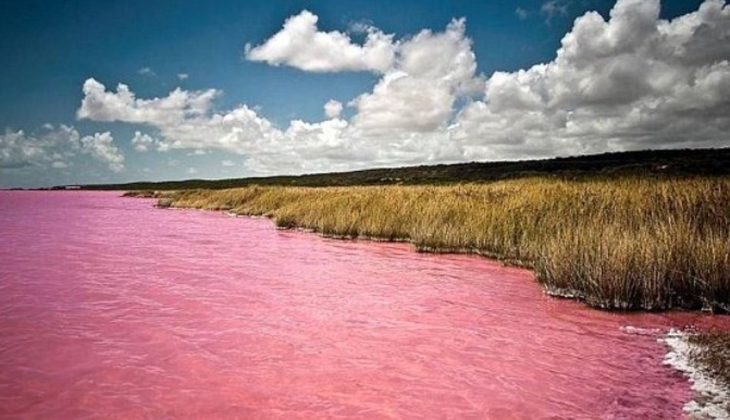 Povestea incredibilă a lacului roz din Australia. Ce au descoperit cercetătorii