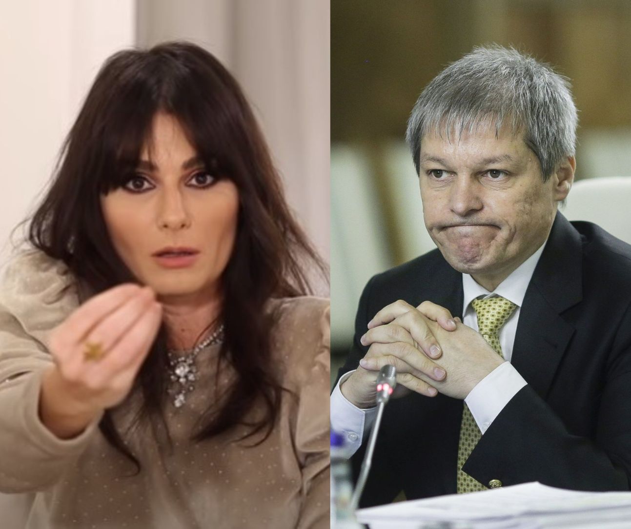 Dana Budeanu dă de pământ cu guvernul Cioloș în problema urșilor: „Criminalilor!!”