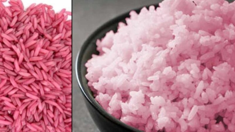 Orezul roz sau orezul de vită, alimentul viitorului. Sursă de proteine ieftină și durabilă, spun cercetătorii