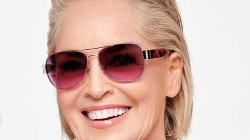 Sharon Stone povestește cum a rămas fără avere în perioada în care a fost bolnavă. „Totul dispăruse”