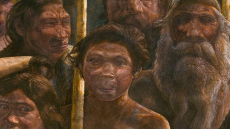 Descoperire uluitoare a arheologilor. Un strămoș uman mergea în picioare acum 7 milioane de ani