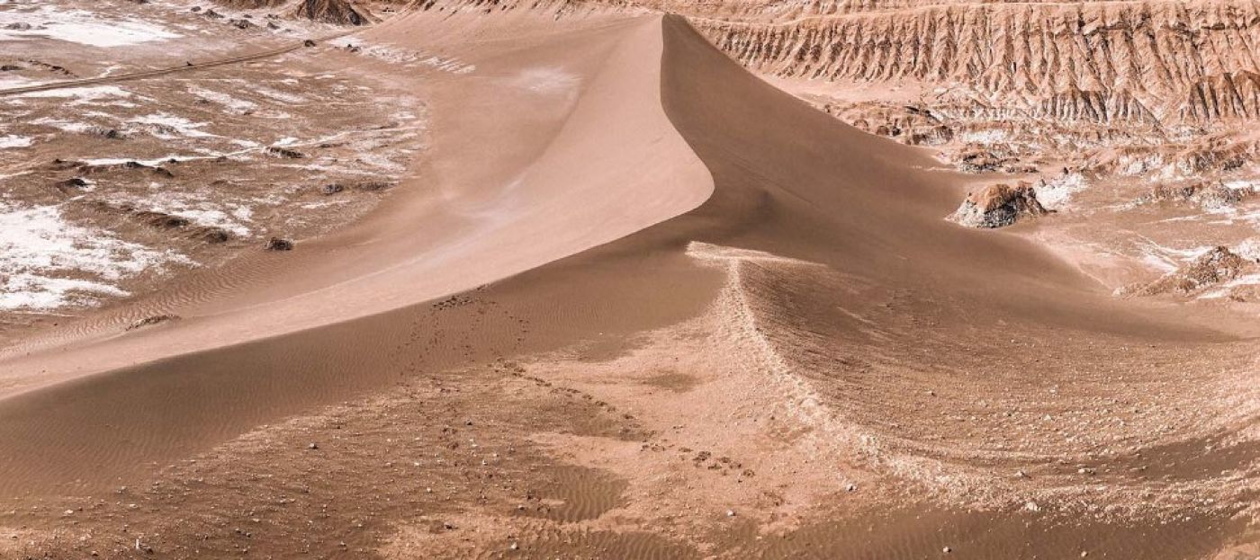 Atacama, cel mai uscat deșert din lume, e plin de viață. Odată la cinci ani, în acest loc florile fac spectacol. Foto