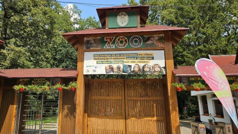 Copacul cu suzete de la Grădina Zoologică din Târgu Mureș. O poveste despre cum să îți iei „rămas bun de la țoacă”