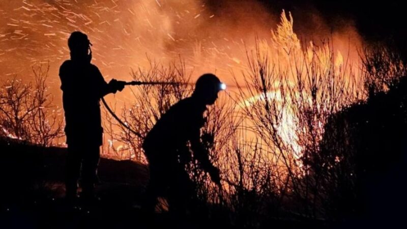 Incendiul de vegetație din Grecia se extinde. Orașe și spitale evacuate