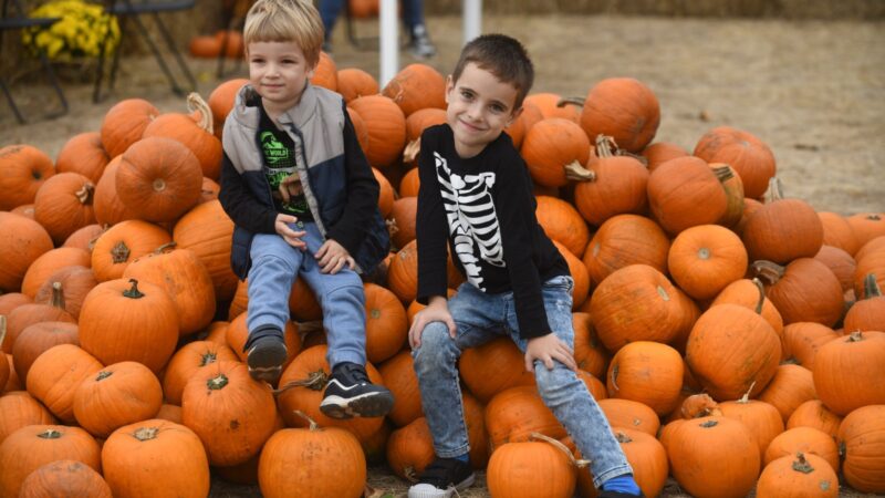 Unde ne distrăm în weekend. Capitala se transformă de Halloween