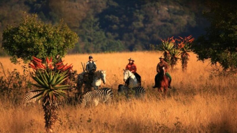 Cele mai bântuite locuri din Africa. Legende care dau fiori, sunete din alte lumi