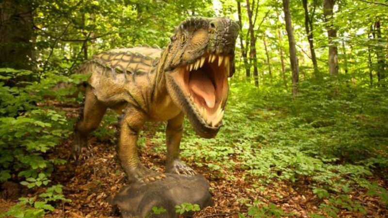 Ceva se întâmplă la Dino Parc din Râșnov. Copiii se vor juca în cursa electorală ca și părinții