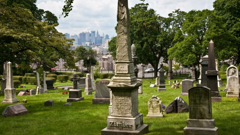 Statuia unui câine mort acum 100 de ani, loc de „pelerinaj” în cimitir. Oamenii îi lasă pe mormânt ceva neobișnuit – Foto