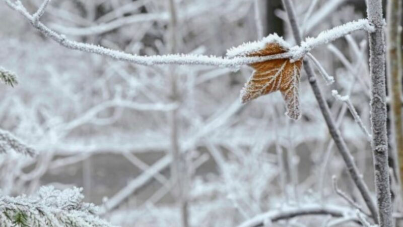 Meteorologii au dat ultimele informații. Se instalează gerul în România, unde va fi cel mai frig